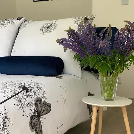 Apartamento Na Zatorzu *